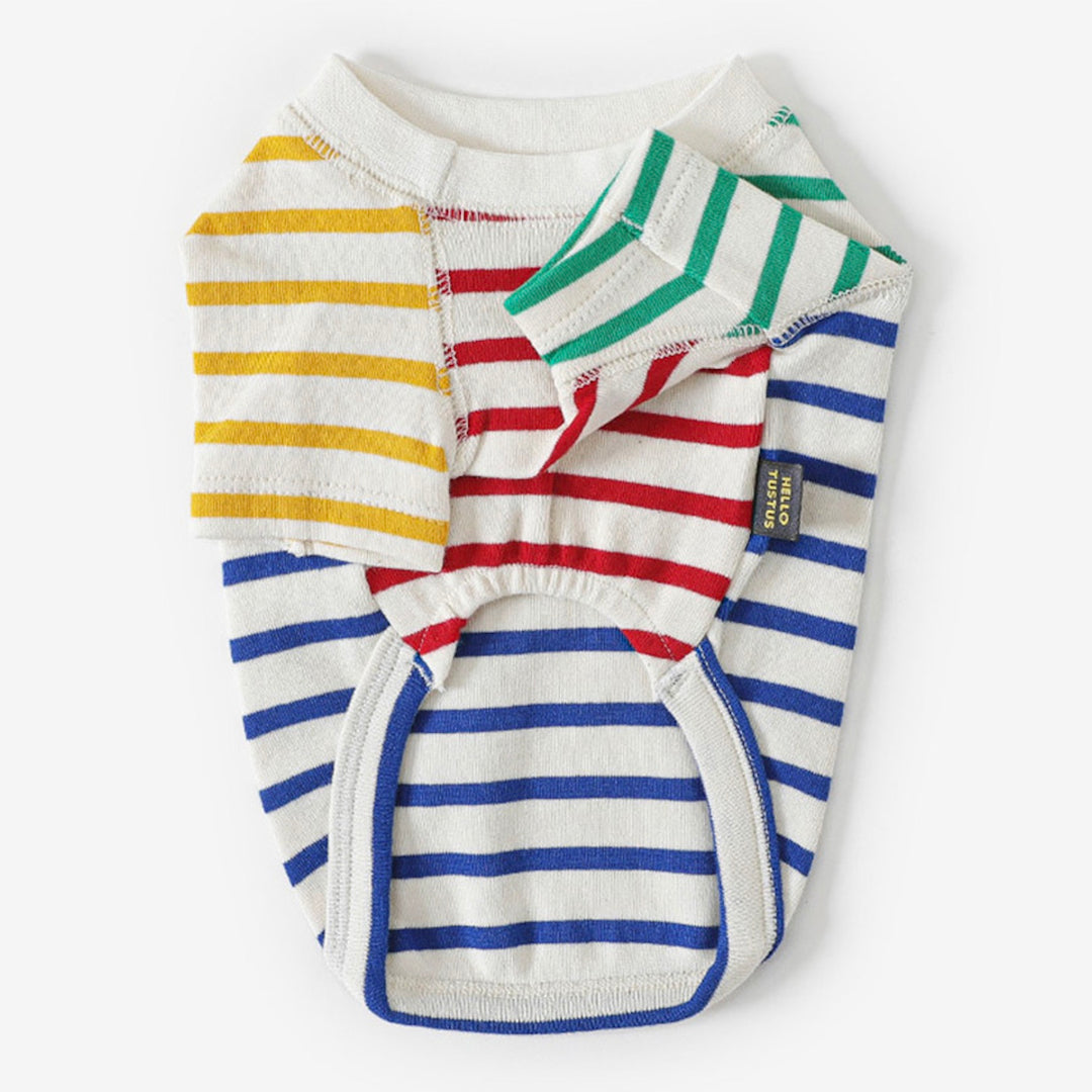 ※予約販売【TUSTUS】COLOR BLOCK STRIPE RAGLAN