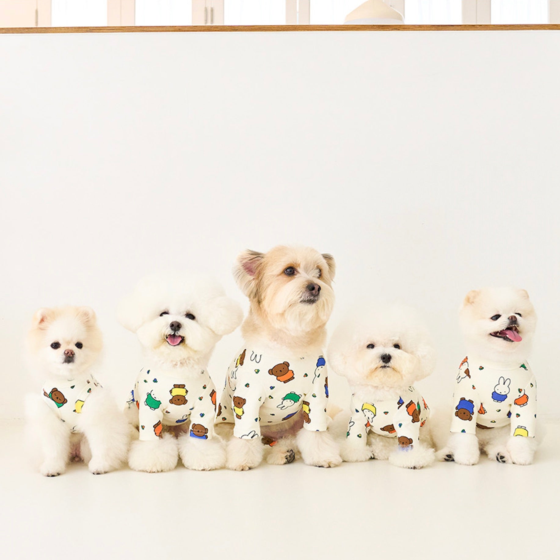 海外犬服 高品質なインポートのドッグウェア通販 