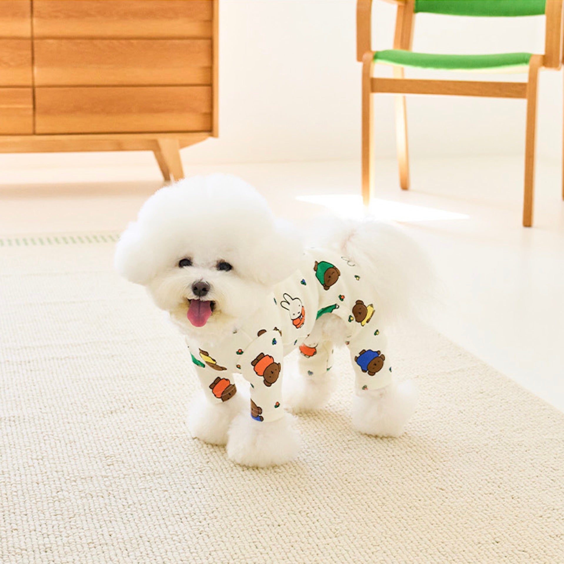 海外犬服 高品質なインポートのドッグウェア通販 