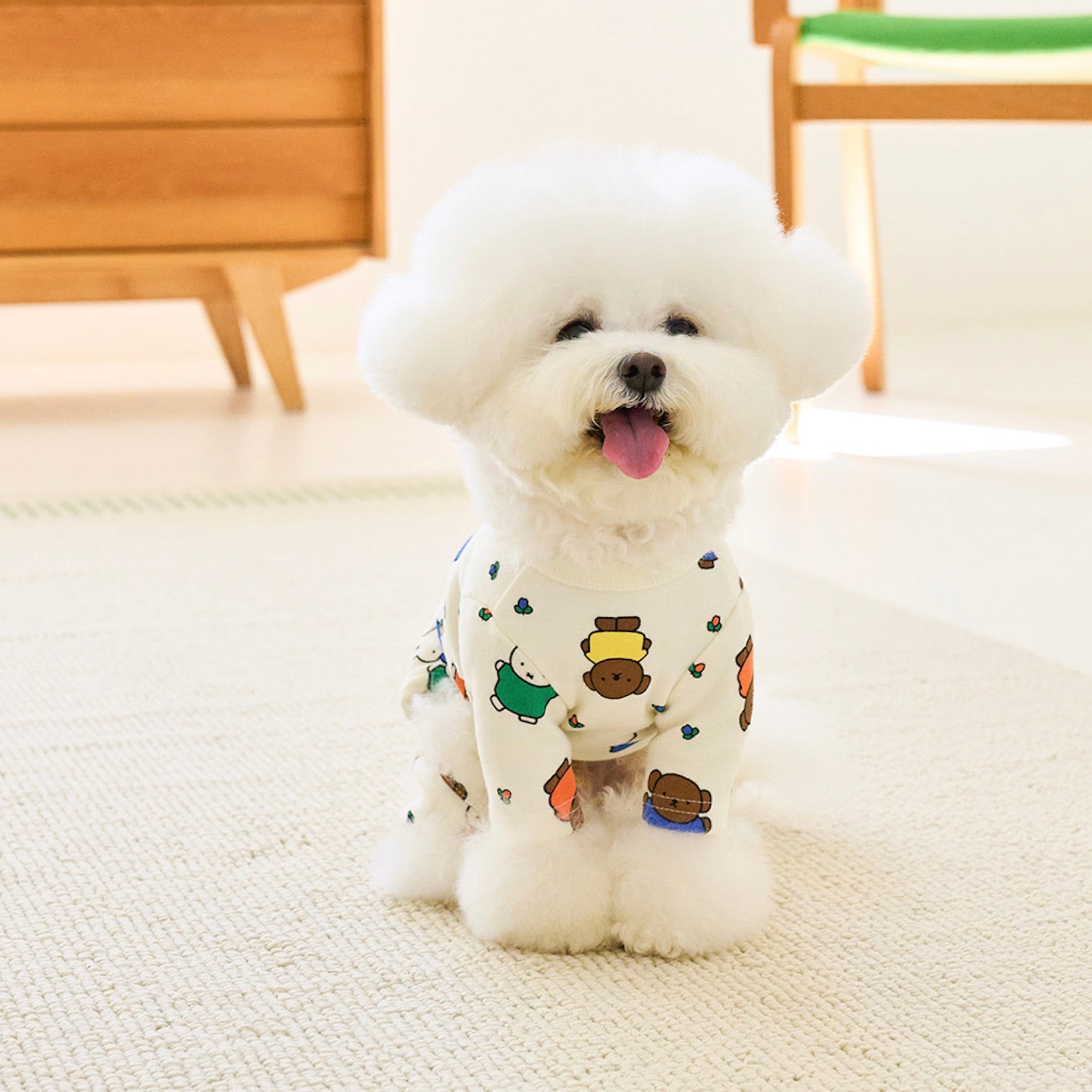 海外犬服 高品質なインポートのドッグウェア通販 