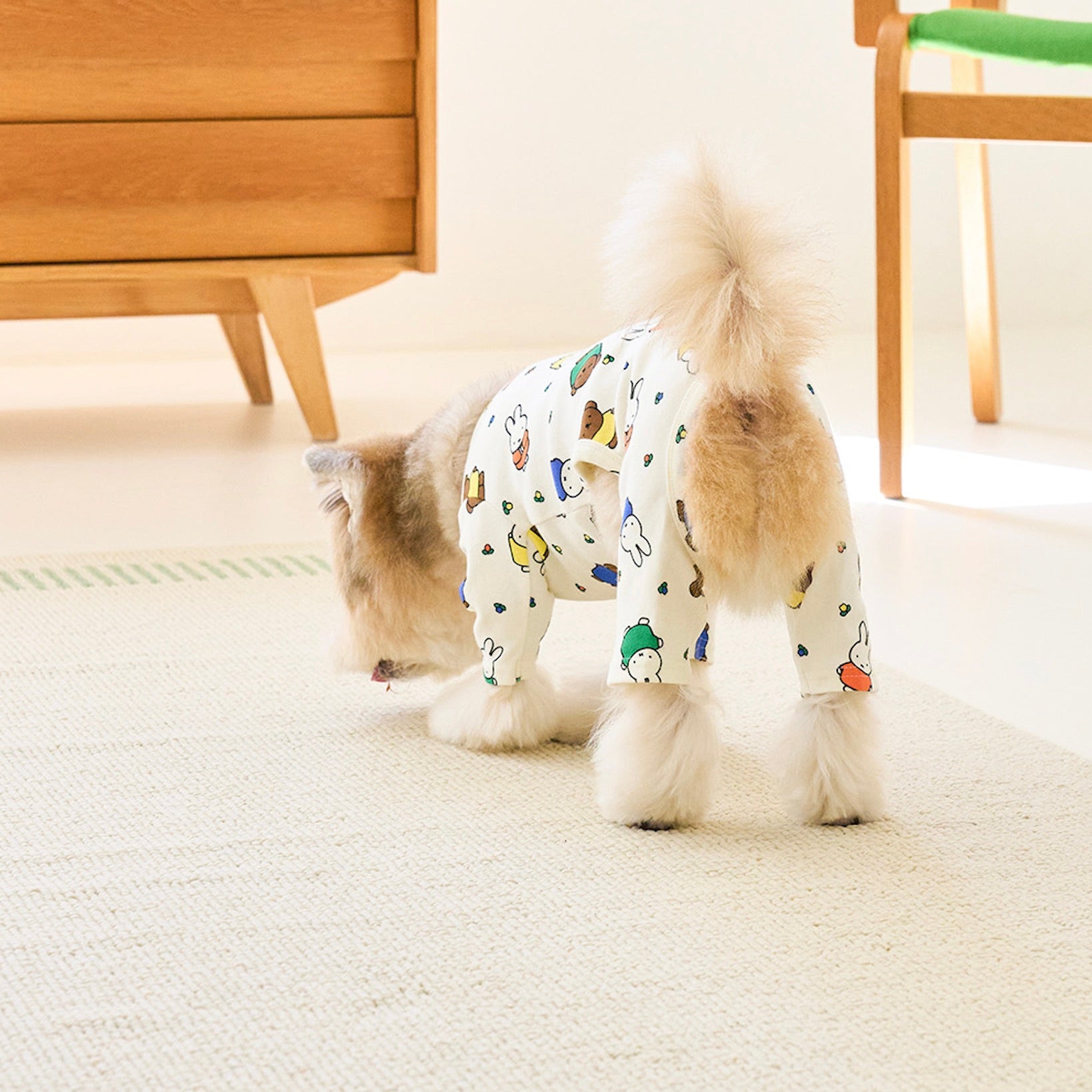 海外犬服 高品質なインポートのドッグウェア通販 