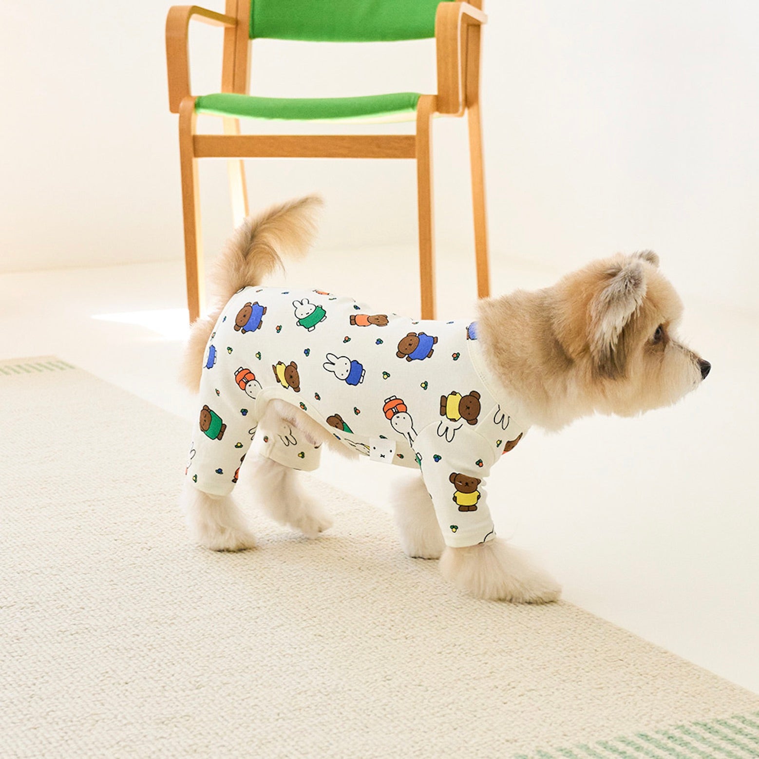 海外犬服 高品質なインポートのドッグウェア通販 