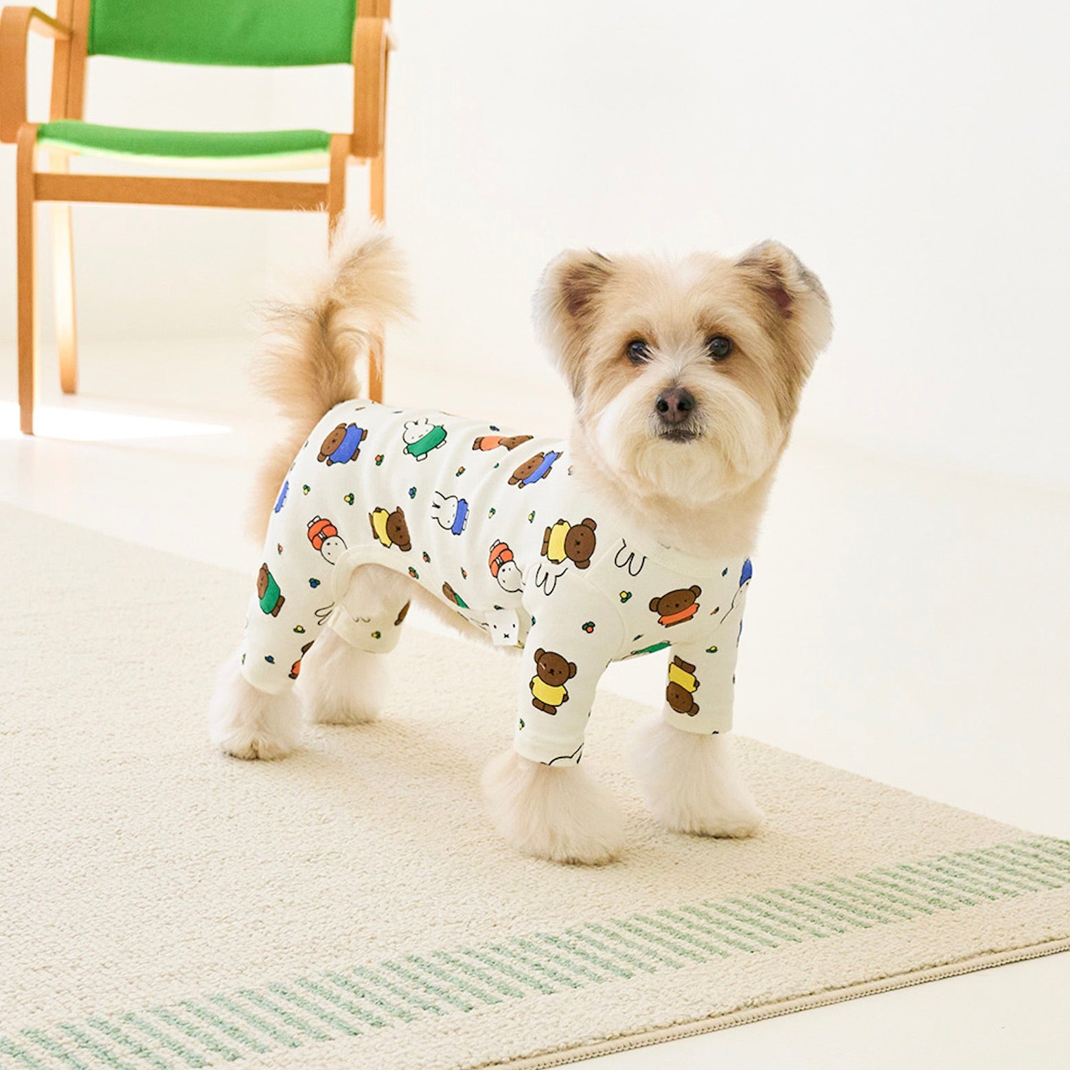 海外犬服 高品質なインポートのドッグウェア通販 