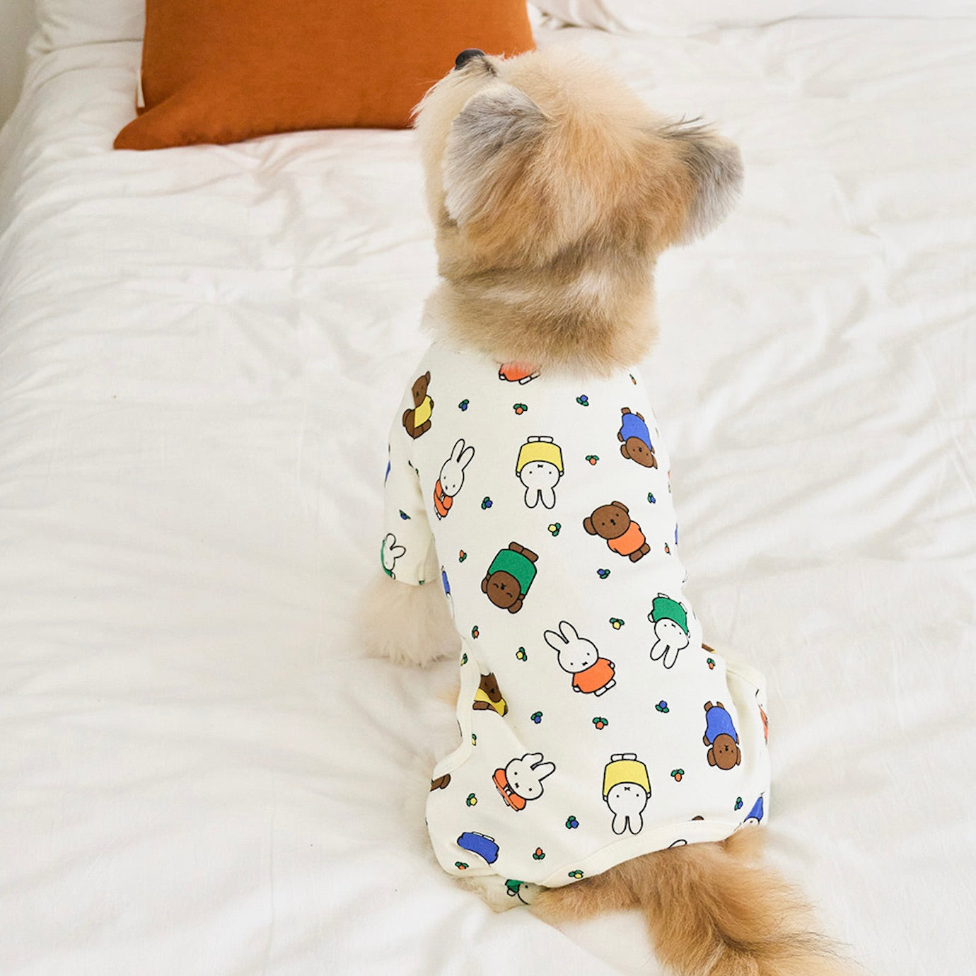 海外犬服 高品質なインポートのドッグウェア通販 