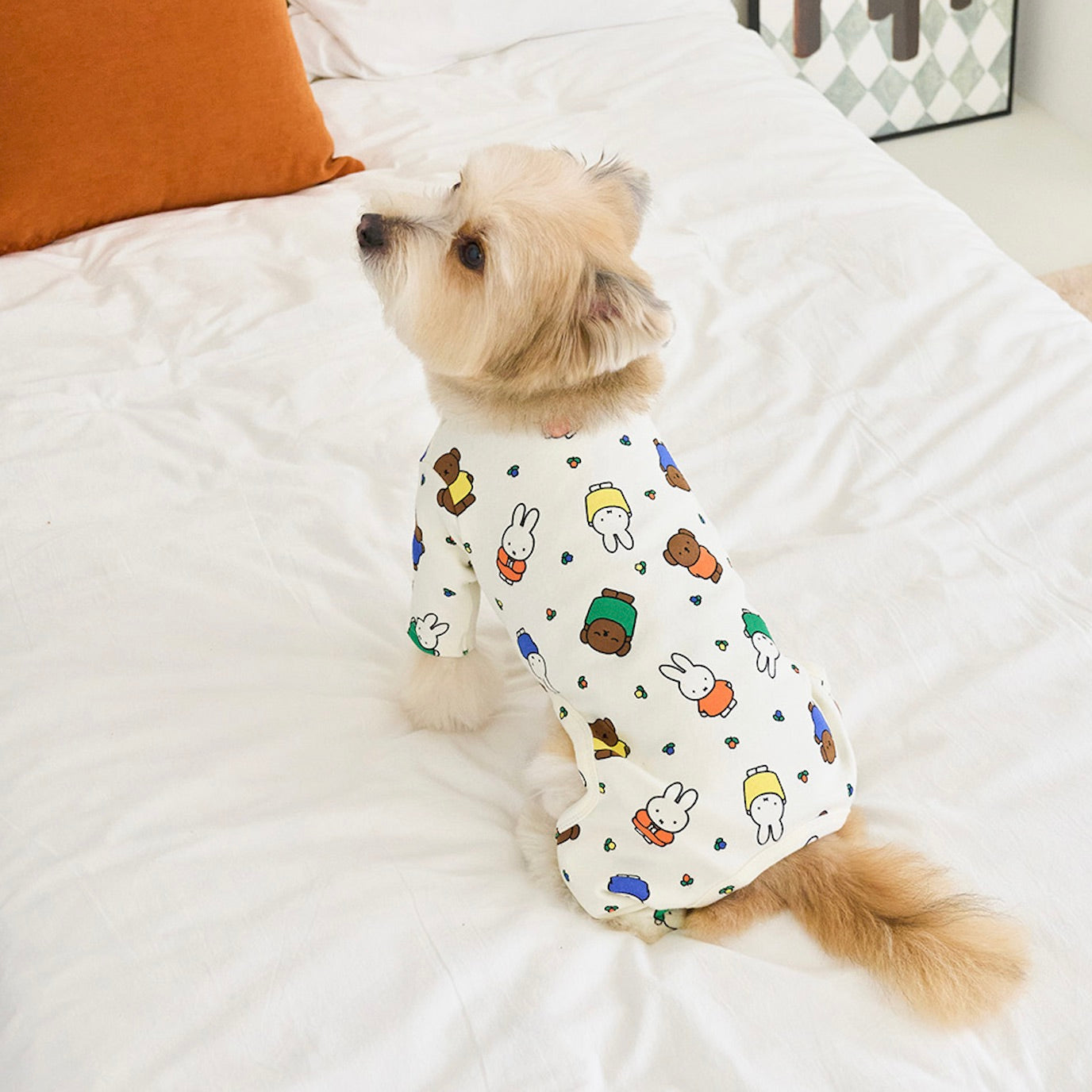海外犬服 高品質なインポートのドッグウェア通販 
