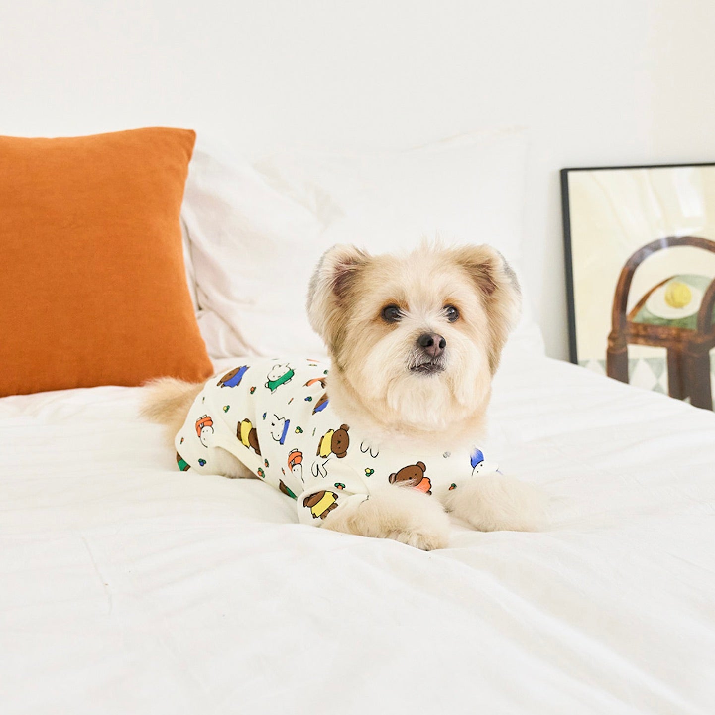 海外犬服 高品質なインポートのドッグウェア通販 