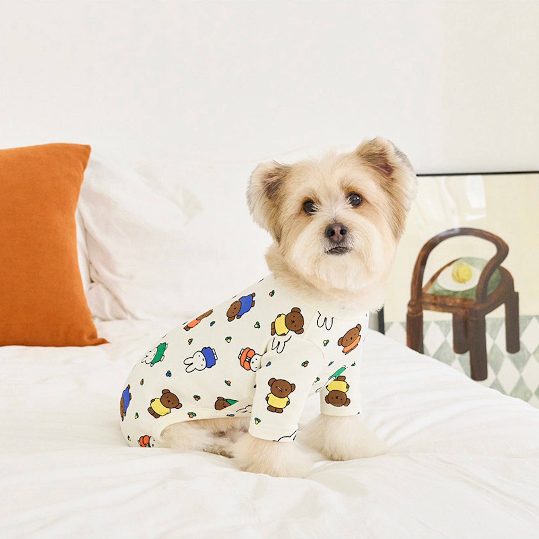 海外犬服 高品質なインポートのドッグウェア通販 