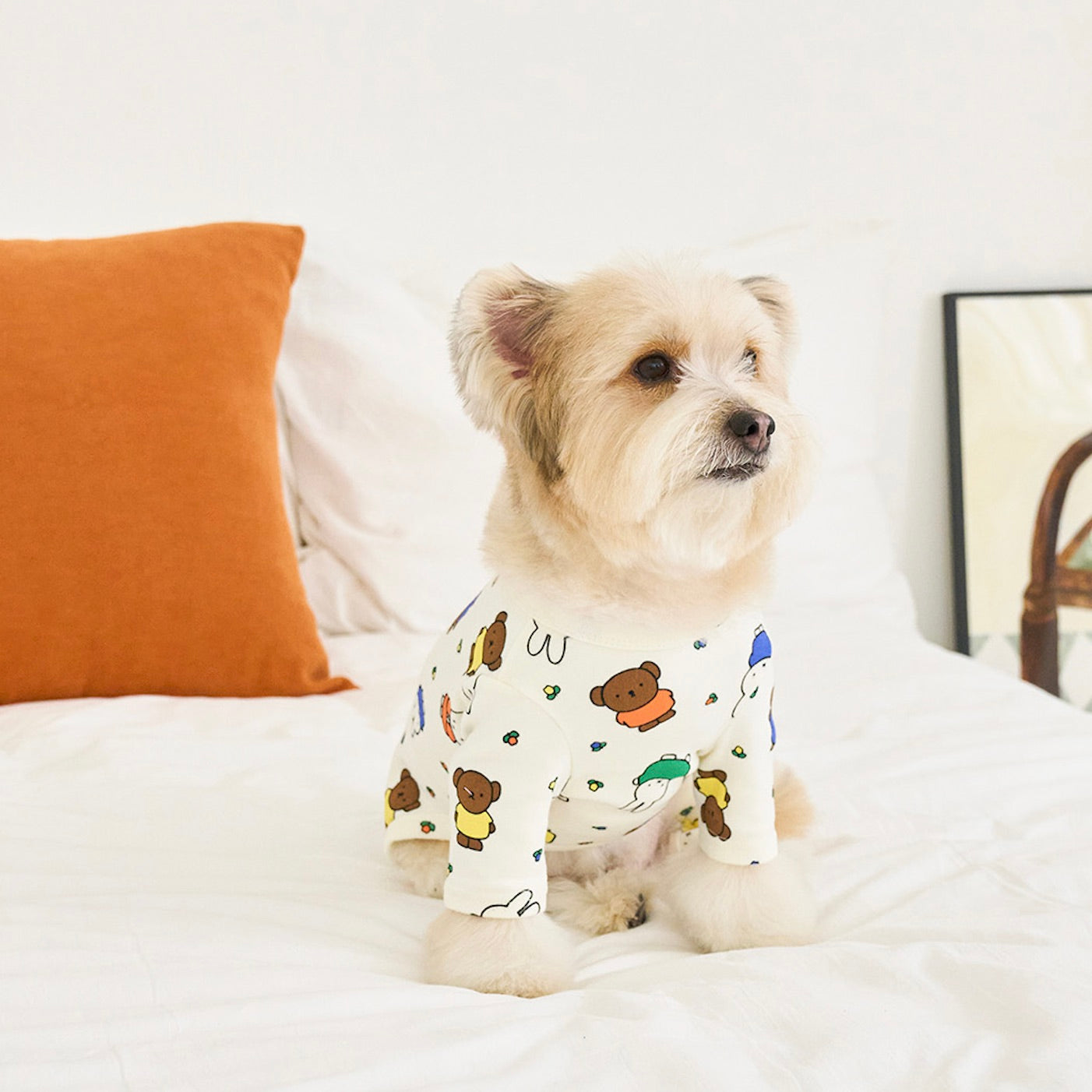 海外犬服 高品質なインポートのドッグウェア通販 