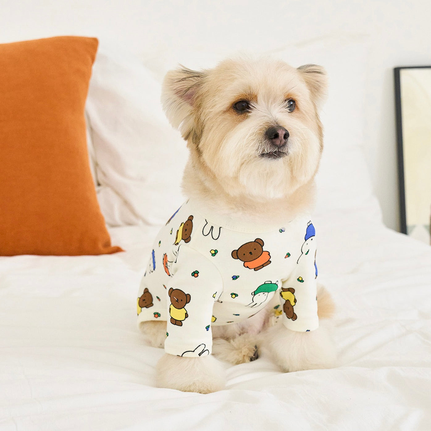 海外犬服 高品質なインポートのドッグウェア通販 