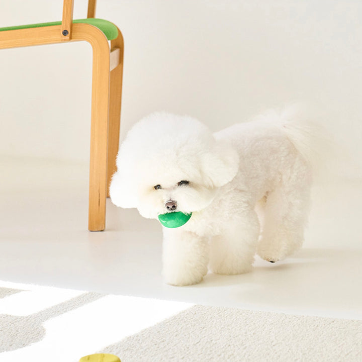 ※予約販売【noutti】Miffy & Friends latex toy