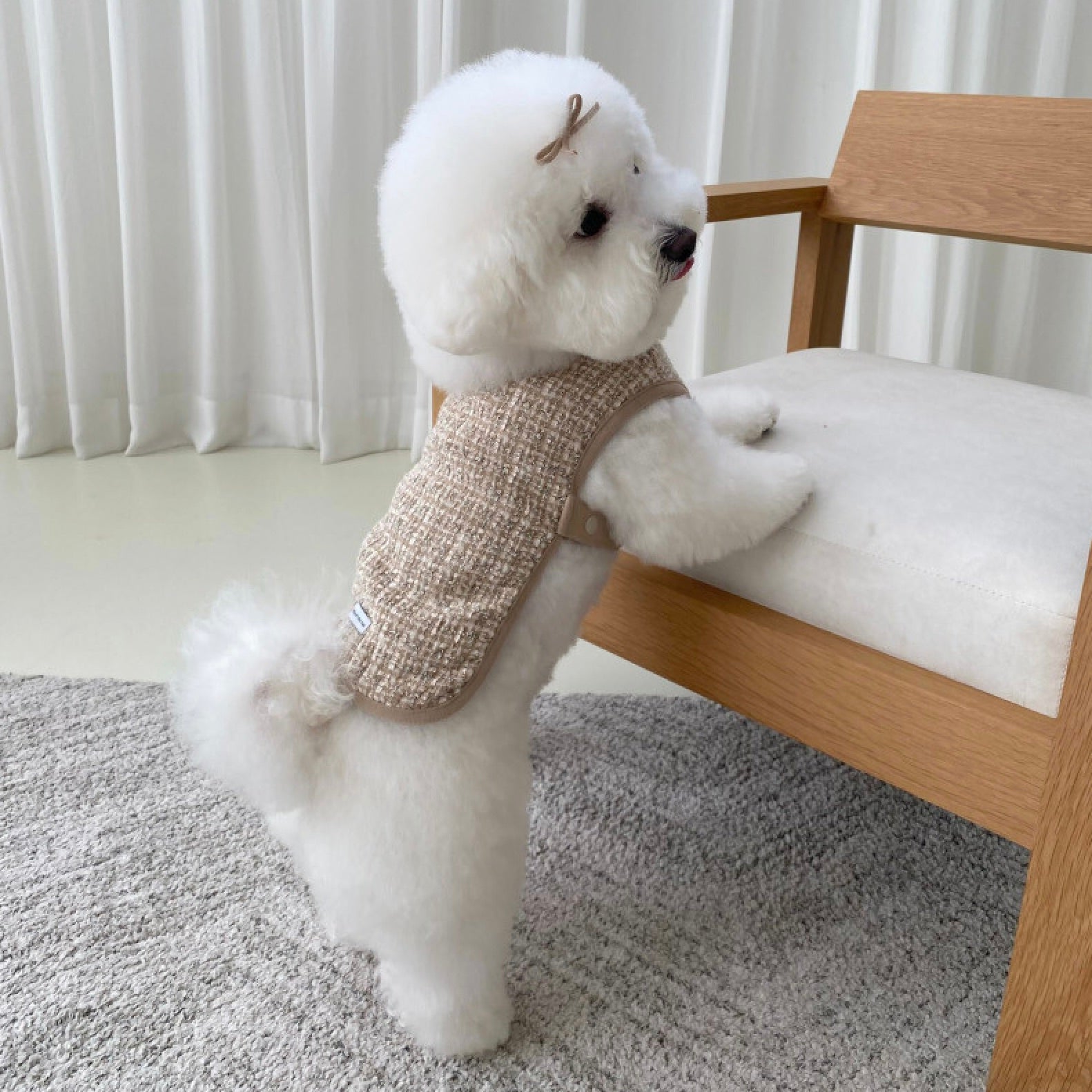 袖なしベスト – URBAN DOG TOKYO