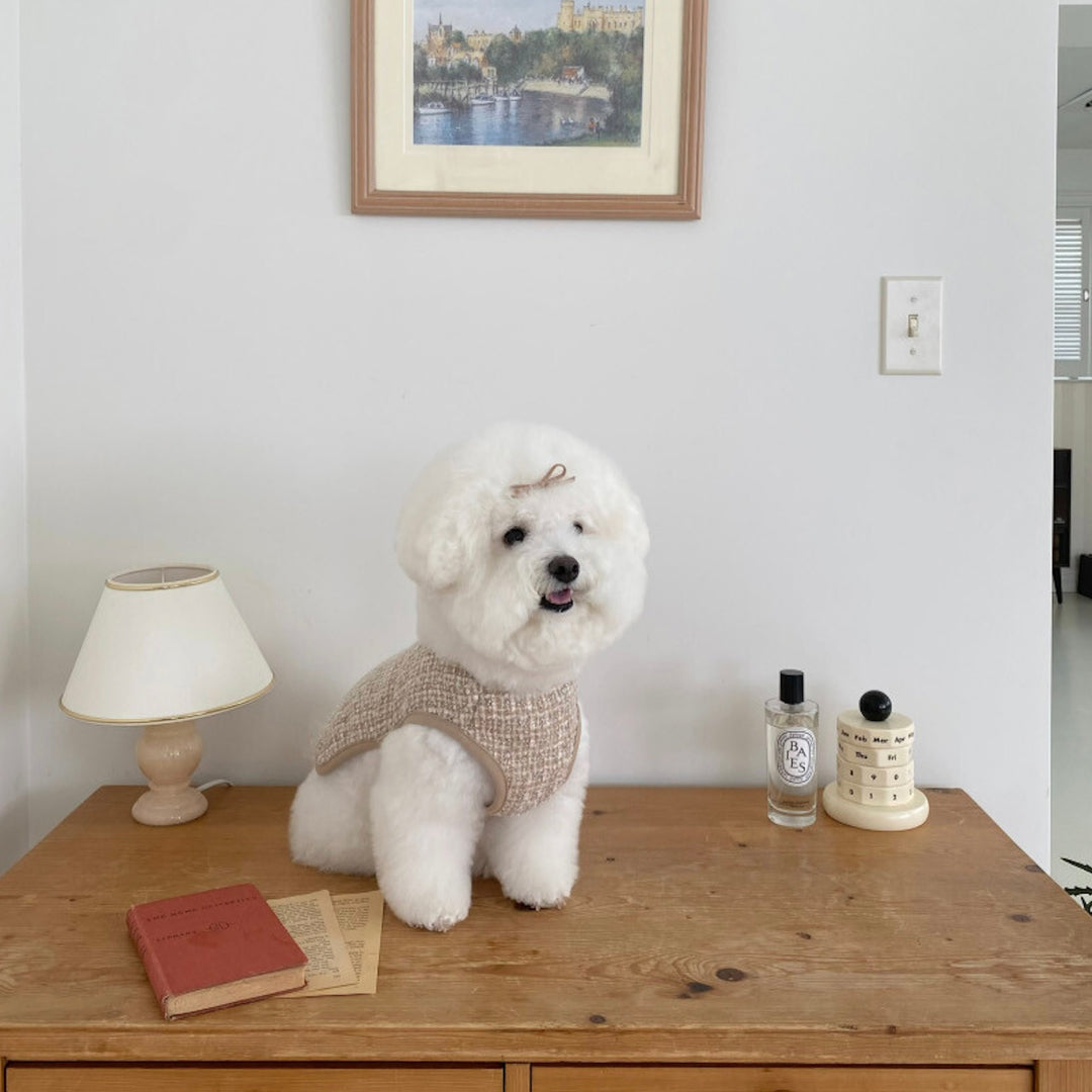 ※予約販売【Bonjour TOU-TOU】Tweed Glas Bustier（Brown）