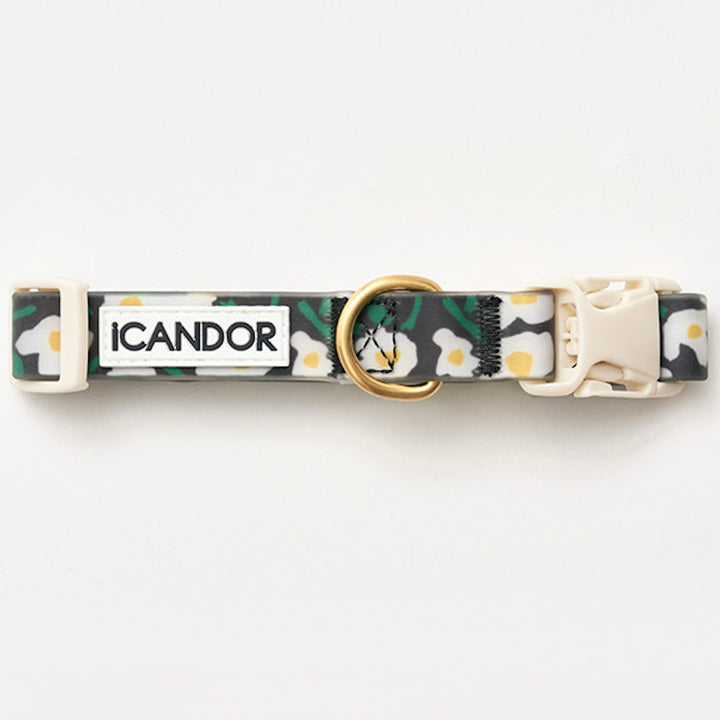 即納【iCANDOR】CAPRI WATERPROOF COLLAR（BIG FISH）S/M