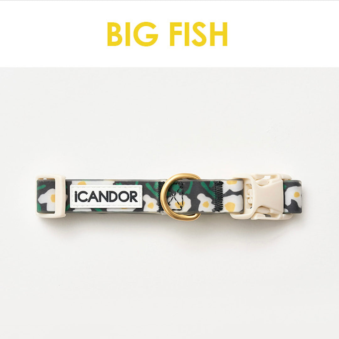 即納【iCANDOR】CAPRI WATERPROOF COLLAR（BIG FISH）S/M