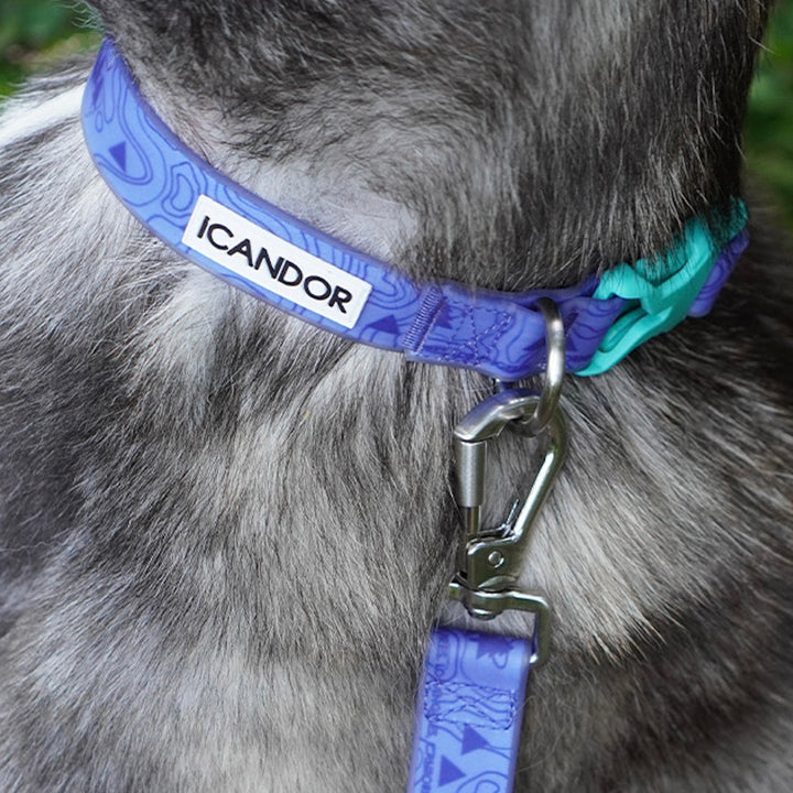 即納【iCANDOR】CAPRI WATERPROOF COLLAR（OUTBACK）S/M