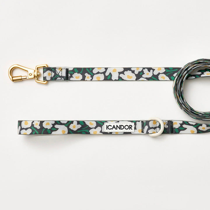 即納【iCANDOR】CAPRI WATERPROOF LEASH（BIG FISH BLACK）