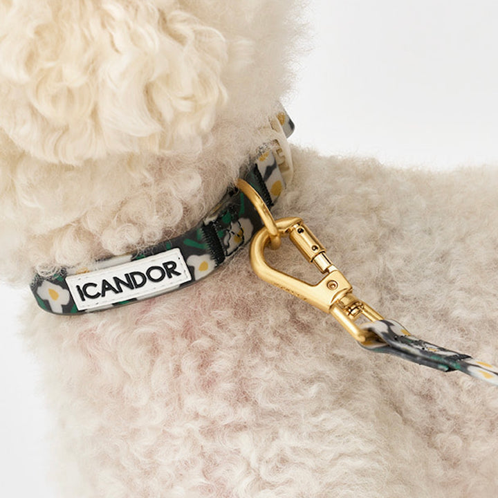 即納【iCANDOR】CAPRI WATERPROOF LEASH（BIG FISH BLACK）