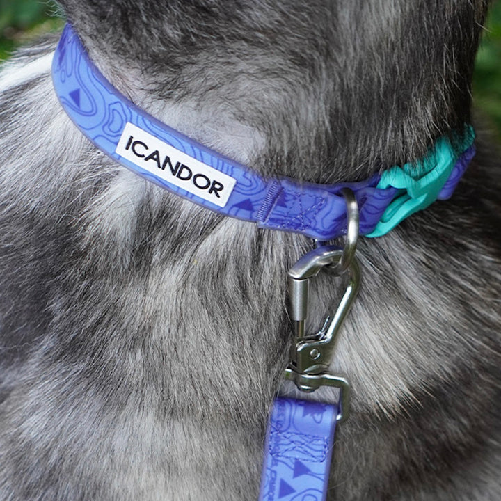 即納【iCANDOR】CAPRI WATERPROOF LEASH（OUTBACK）