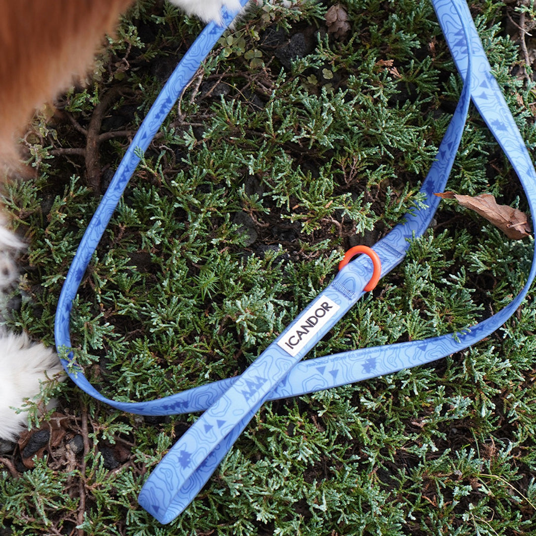 即納【iCANDOR】CAPRI WATERPROOF LEASH（OUTBACK）