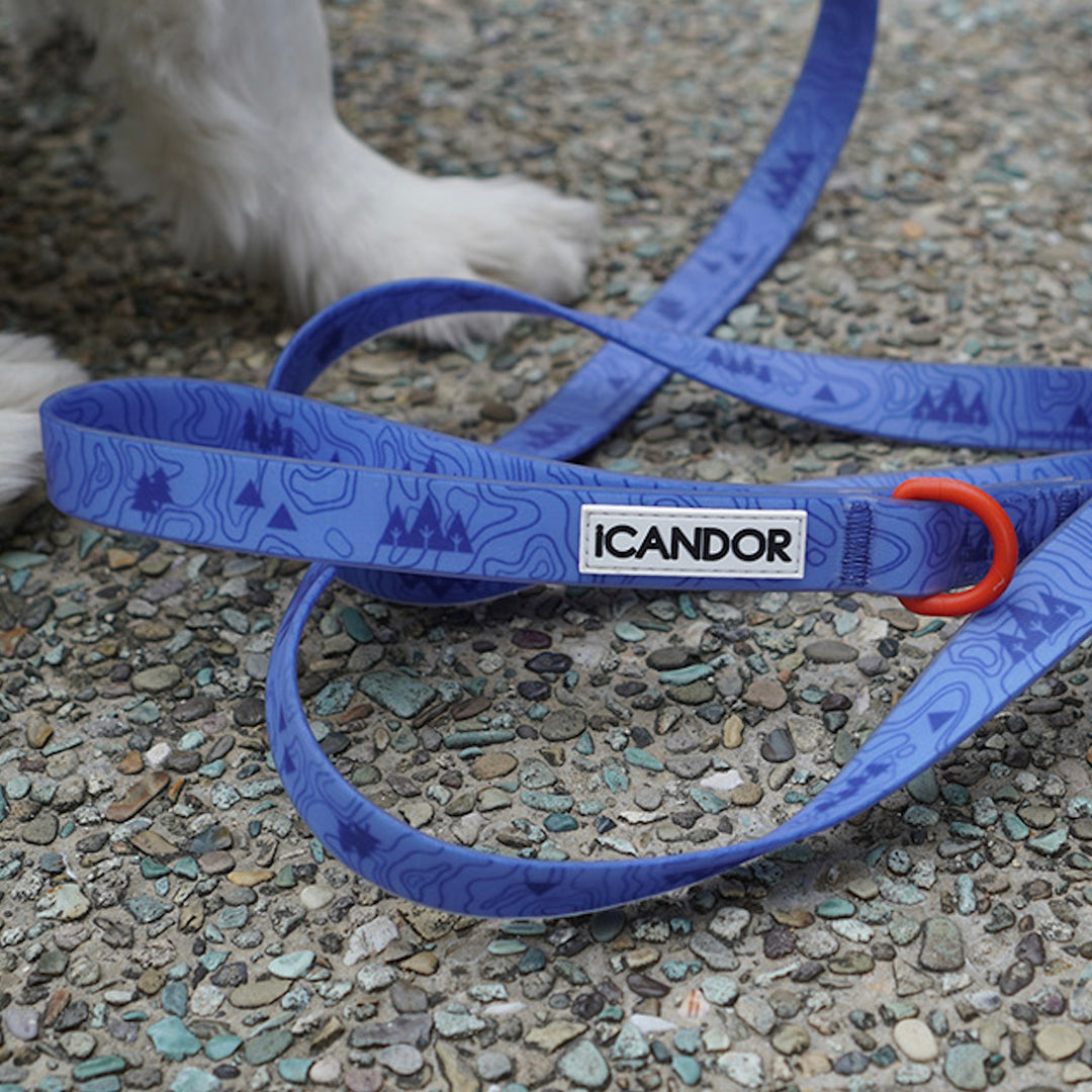 即納【iCANDOR】CAPRI WATERPROOF LEASH（OUTBACK）