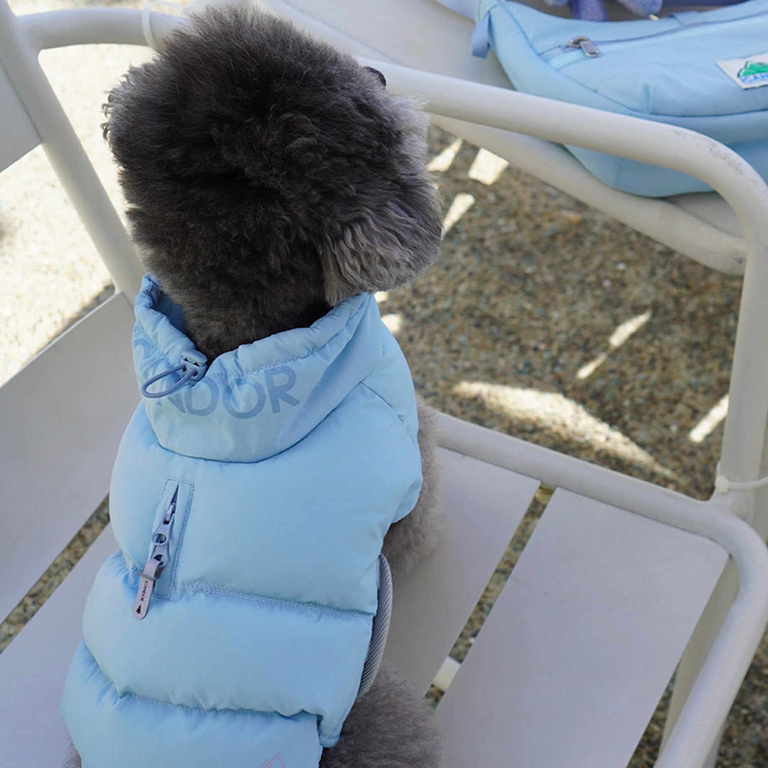 海外犬服高品質なインポートドッグウェア通販 