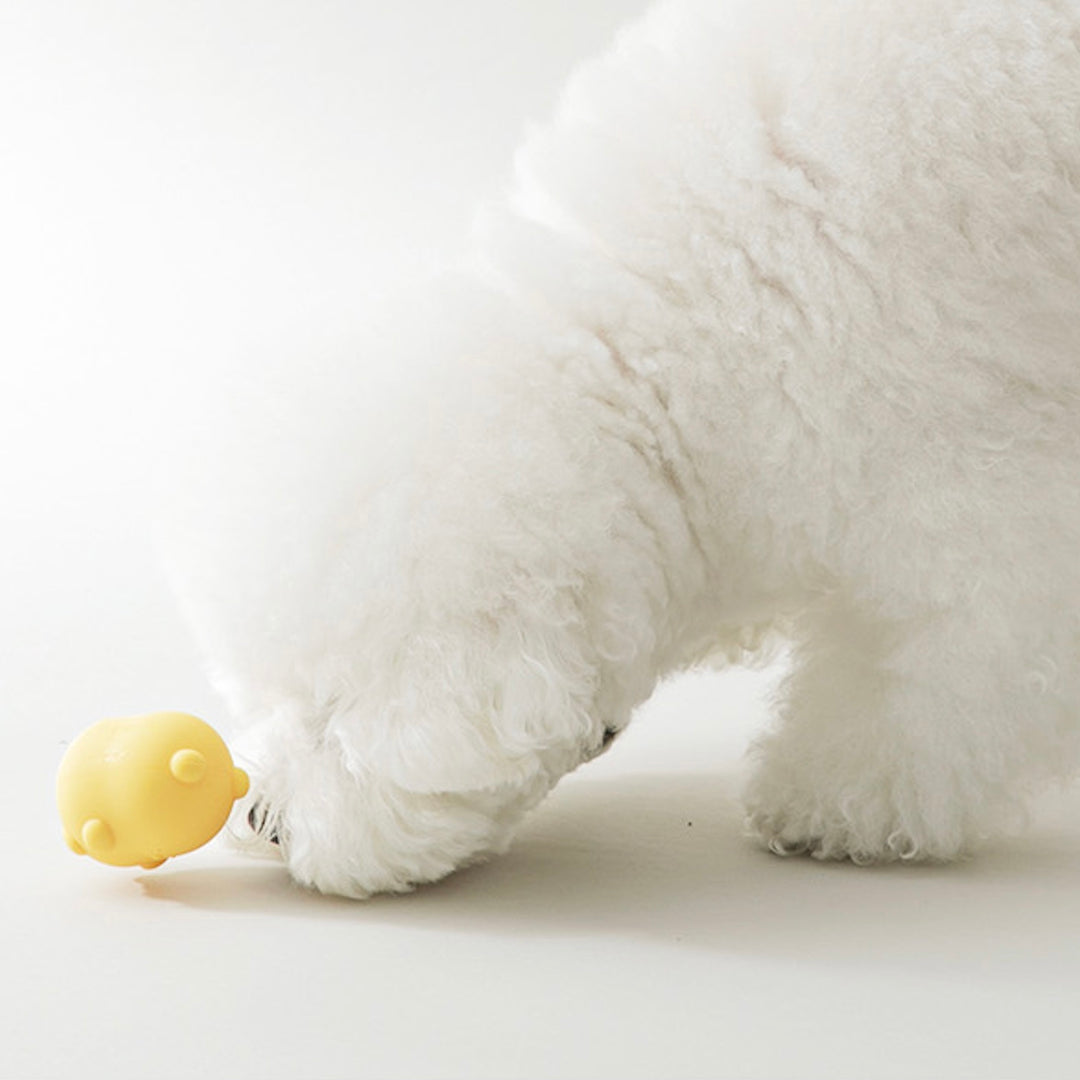 ※予約販売【BITE ME】Jelly Bear Silicone Nosework ball