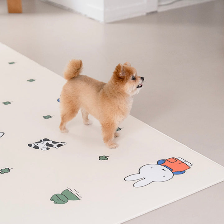 ※予約販売【noutti】Miffy Non Slip Mat（2size）