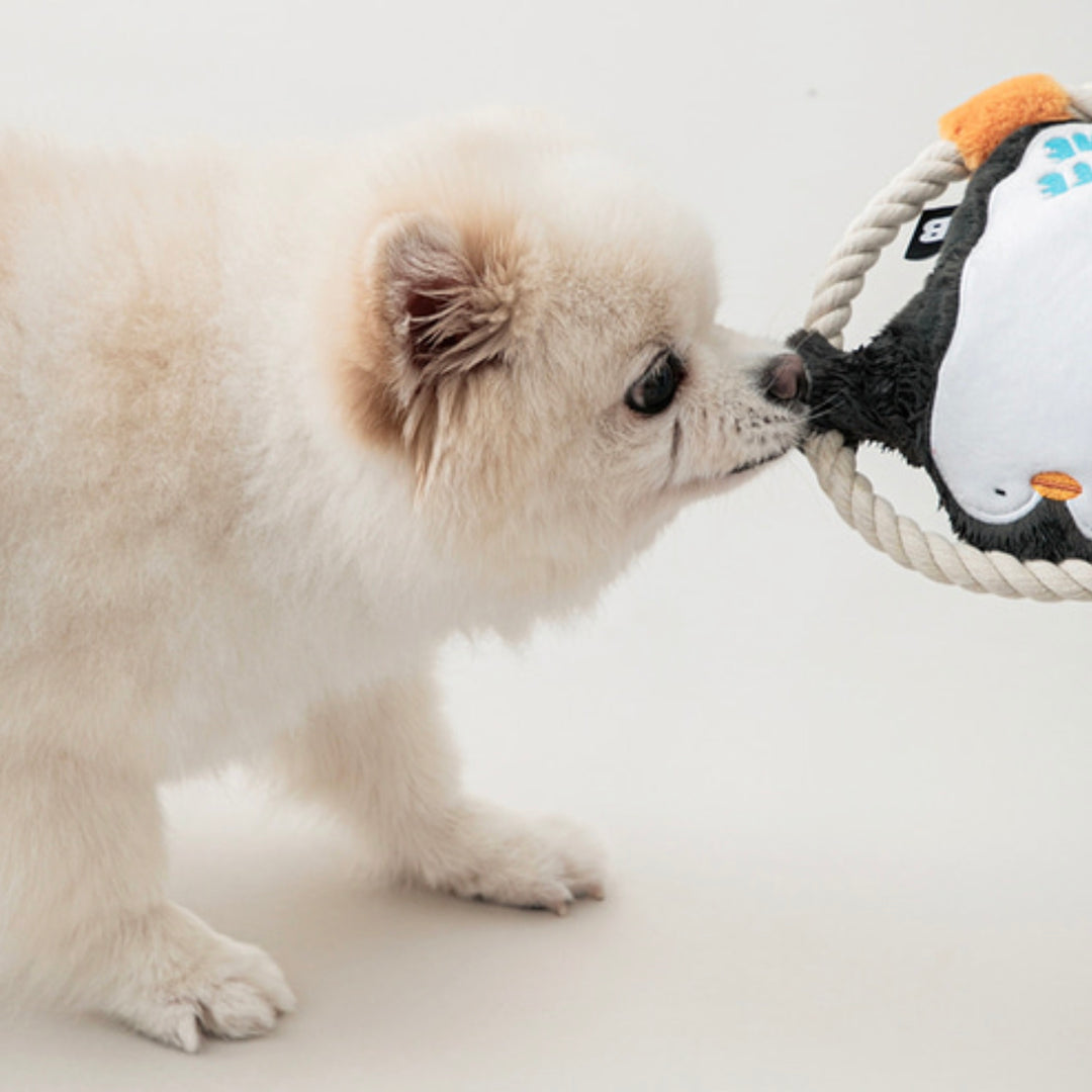 ※予約販売【BITE ME】Hug Me Rope Tug Toy - Penguin