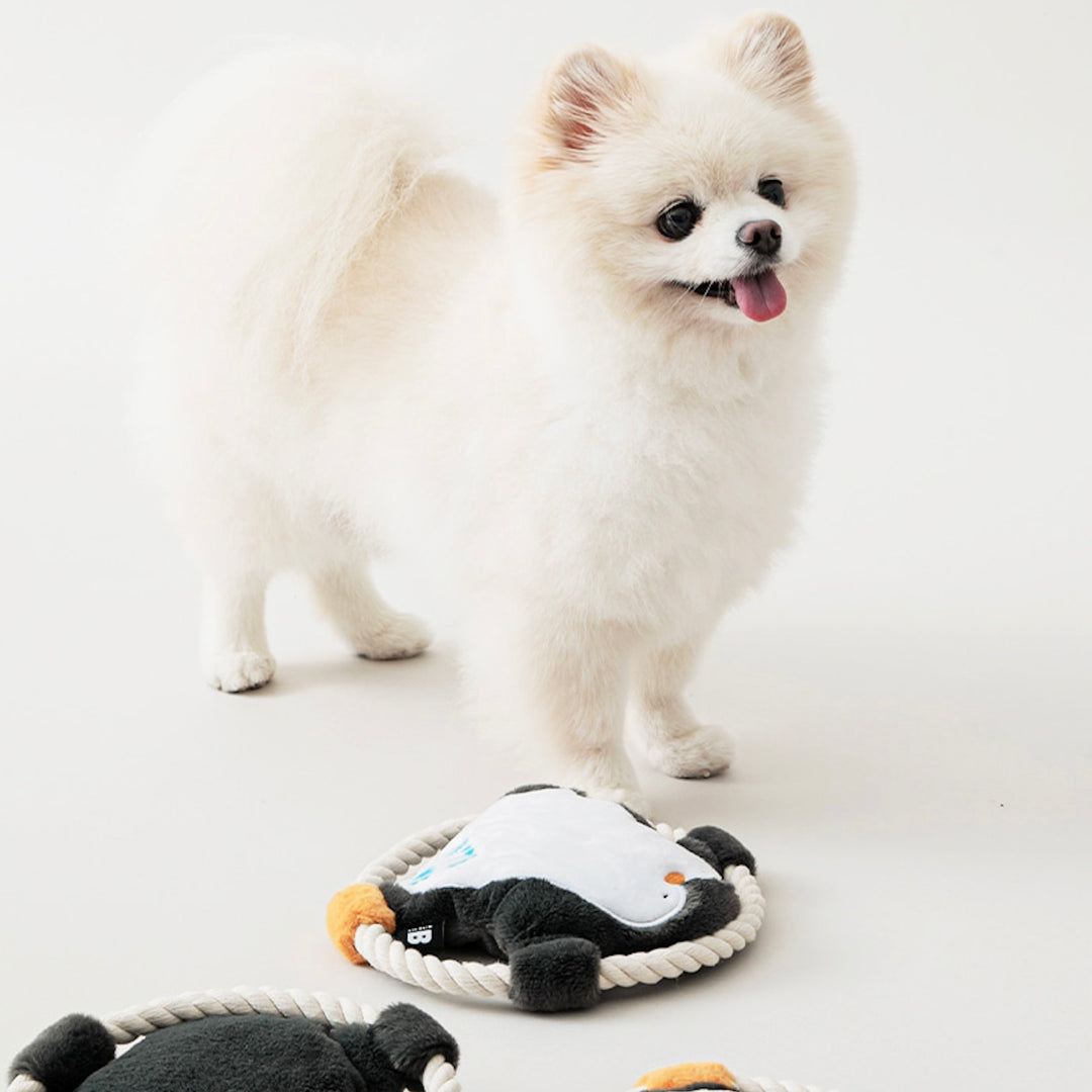 ※予約販売【BITE ME】Hug Me Rope Tug Toy - Penguin