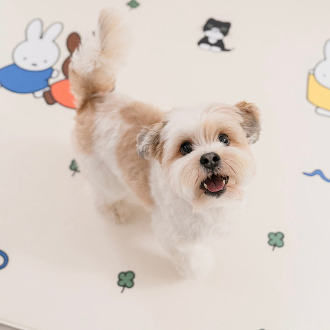 ※予約販売【noutti】Miffy Non Slip Mat（2size）