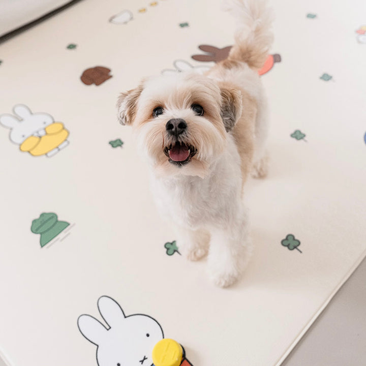 ※予約販売【noutti】Miffy Non Slip Mat（2size）