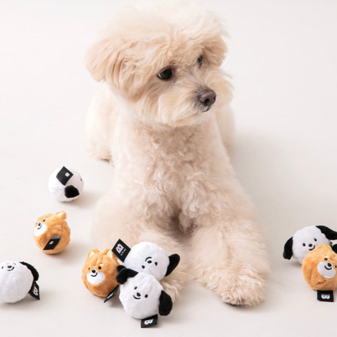 ※予約販売【BITE ME】Dog balls toys sets（2pcs）