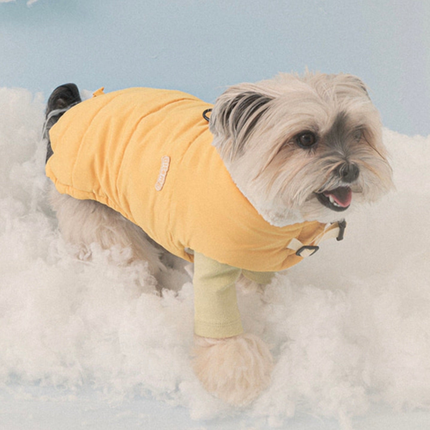 海外犬服 高品質なインポートのドッグウェア通販 