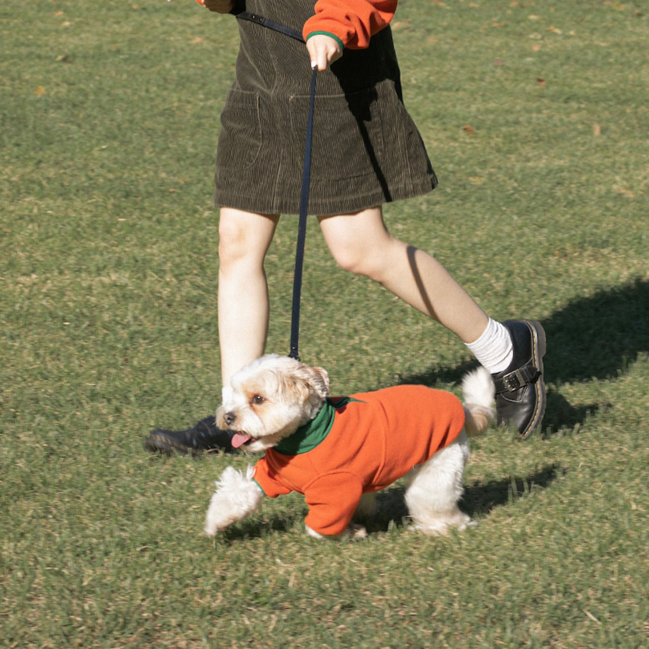 海外犬服 高品質なインポートのドッグウェア通販 