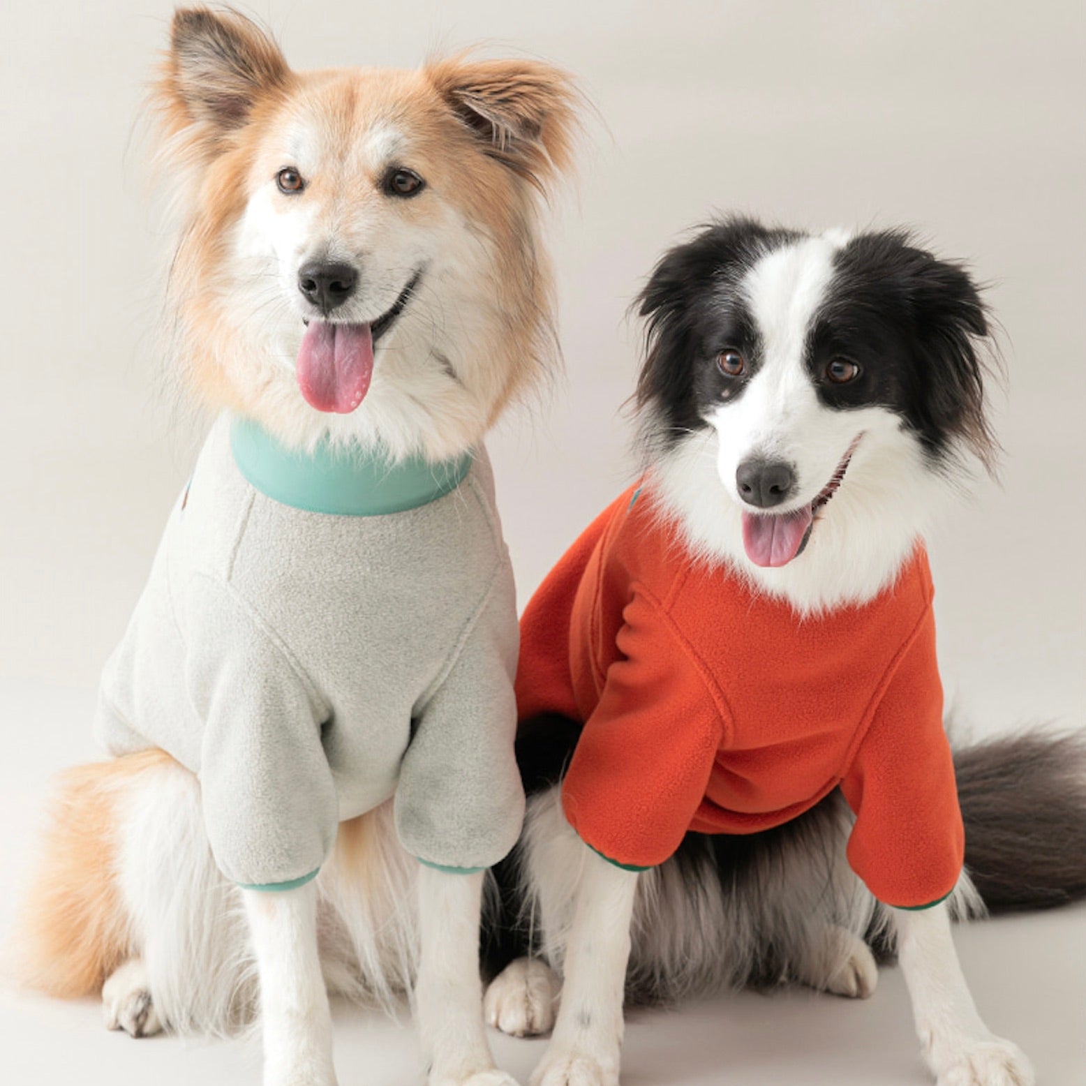 海外犬服 高品質なインポートのドッグウェア通販 