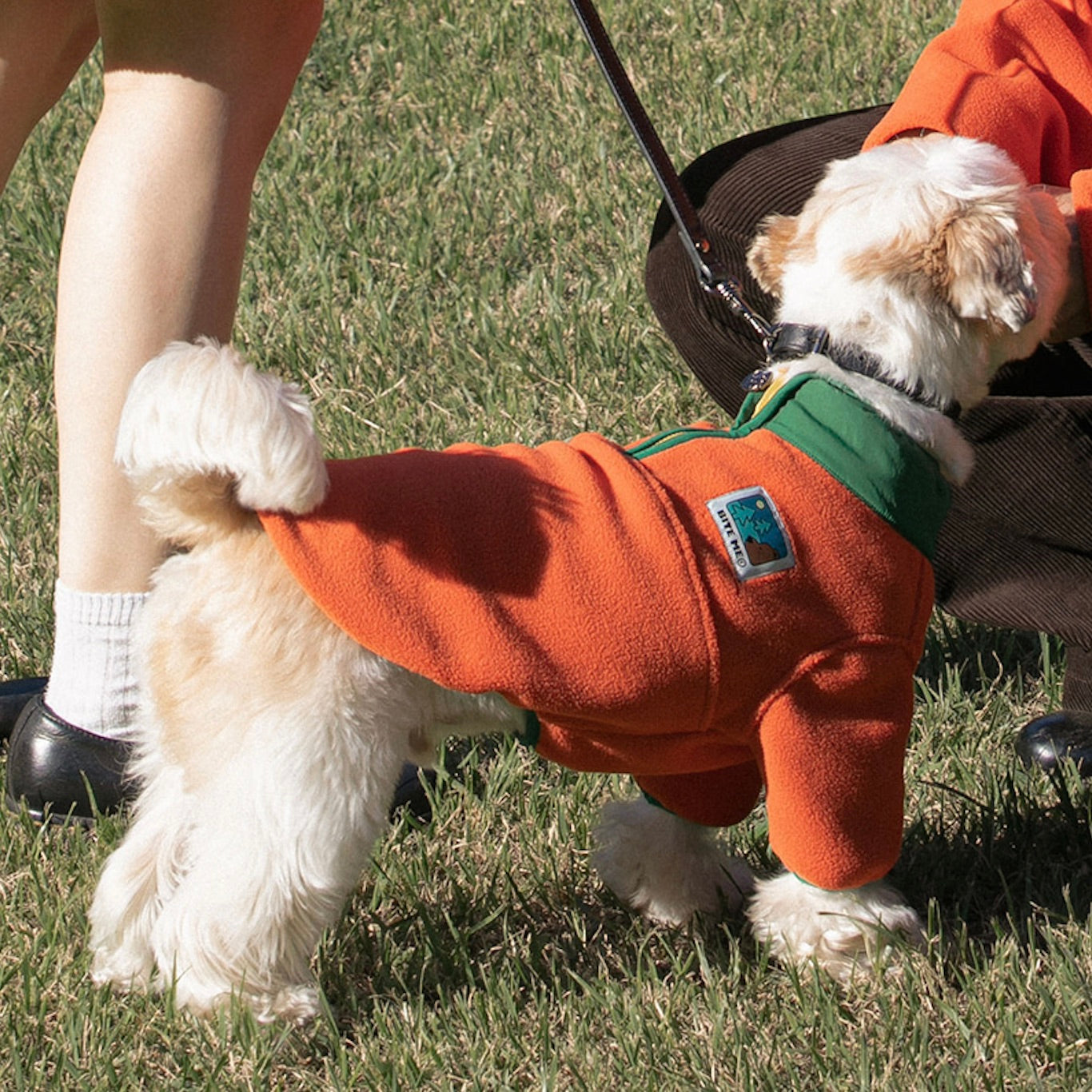 海外犬服 高品質なインポートのドッグウェア通販 