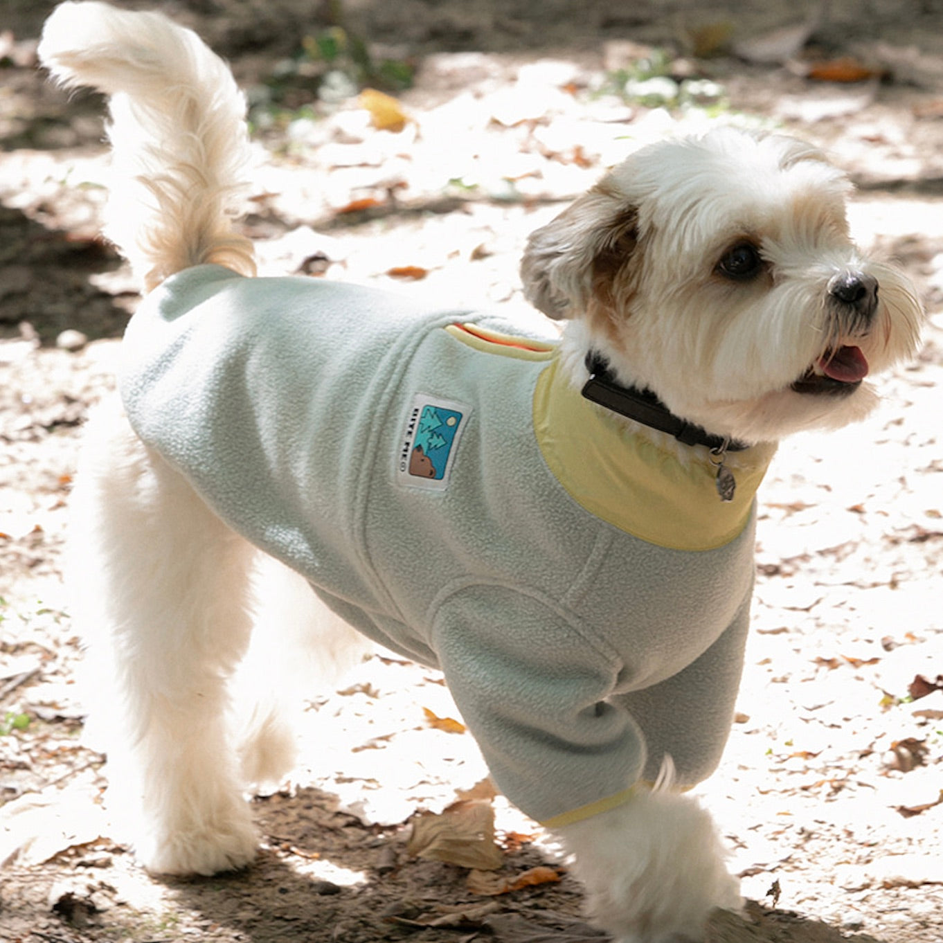 犬が服 セール 海外