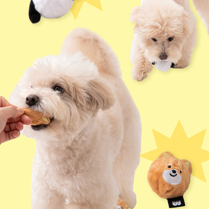 ※予約販売【BITE ME】Dog balls toys sets（2pcs）