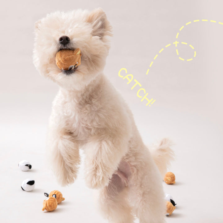 ※予約販売【BITE ME】Dog balls toys sets（2pcs）