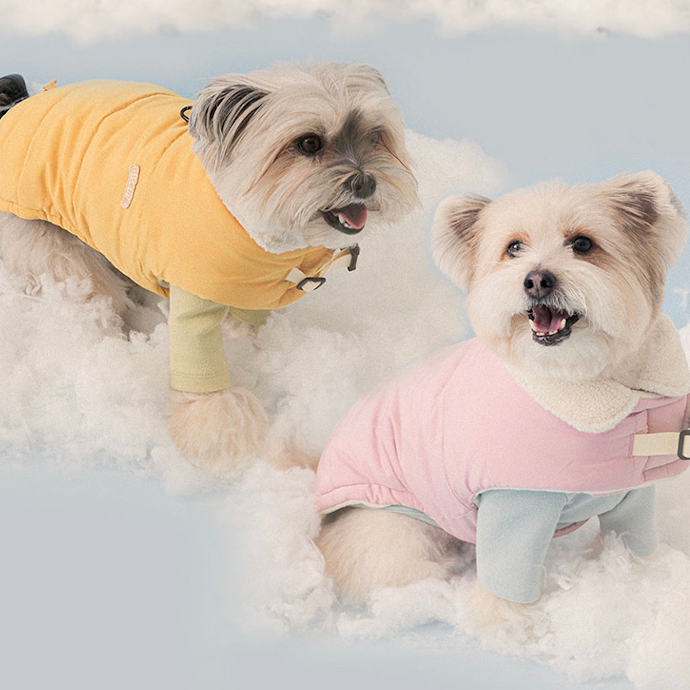 海外犬服 高品質なインポートのドッグウェア通販 