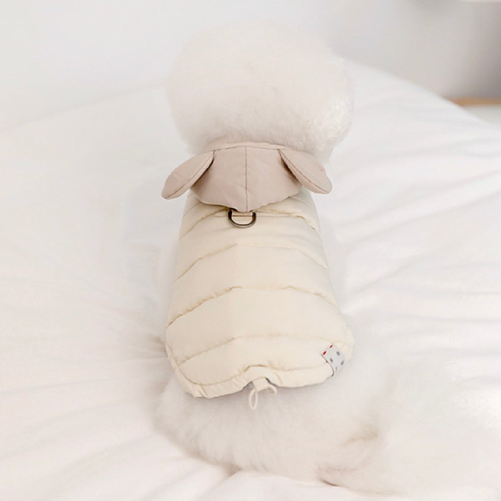 海外犬服 高品質なインポートのドッグウェア通販 