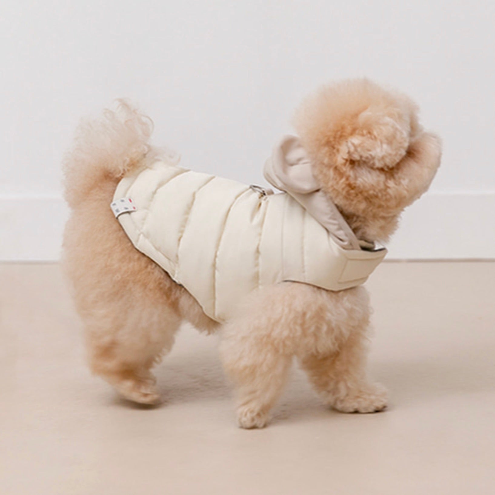 海外犬服 高品質なインポートのドッグウェア通販 