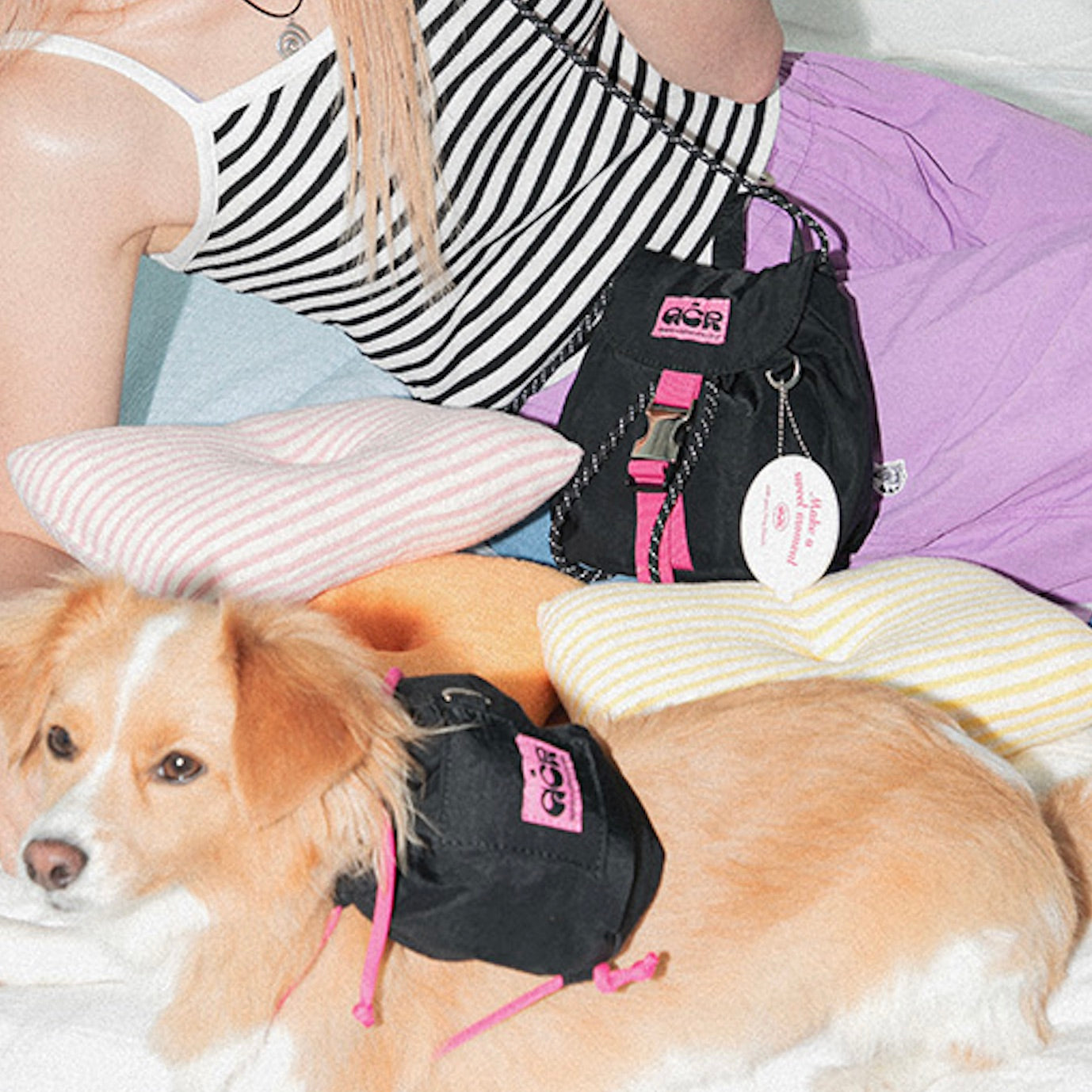 犬好き　レディース　BLK M 海外犬服 高品質なインポートのドッグウェア通販 