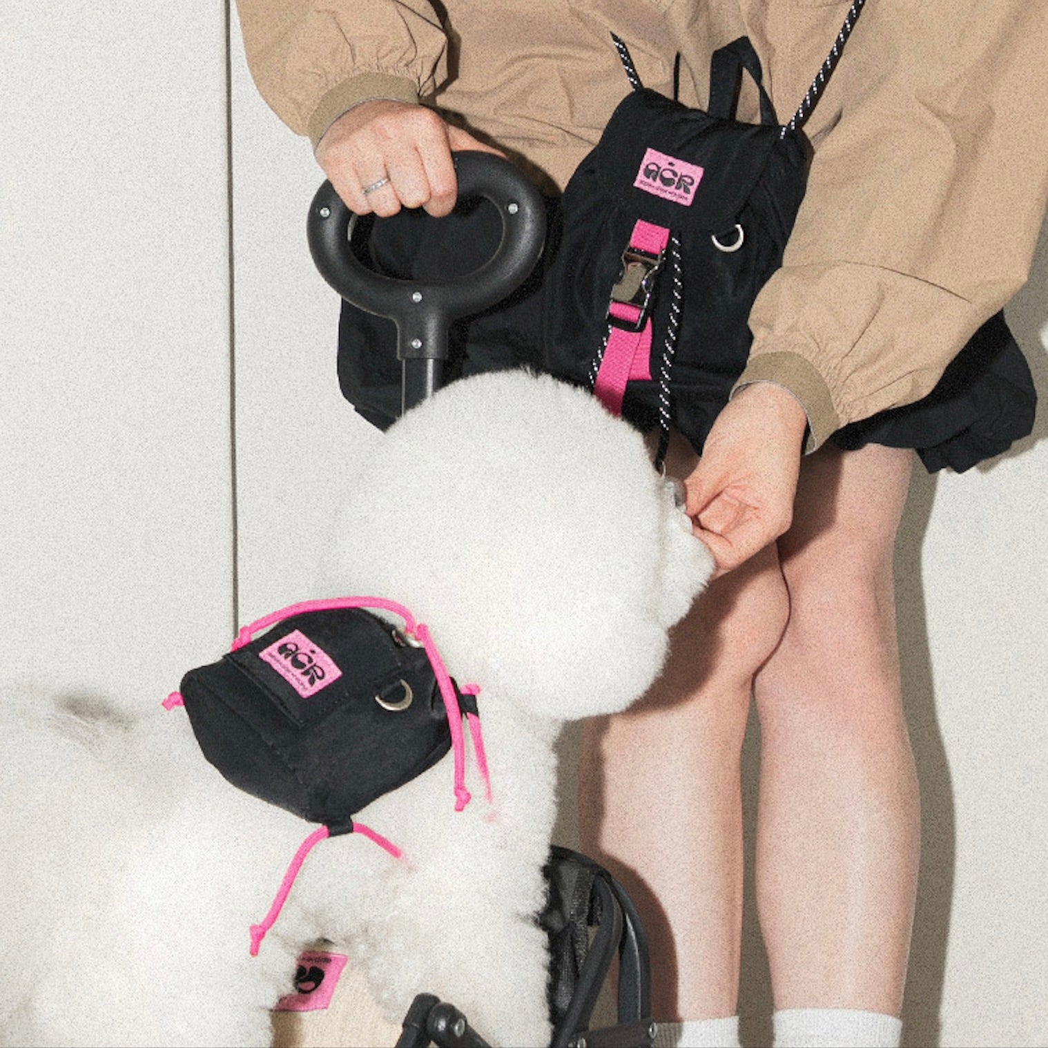 海外犬服 高品質なインポートのドッグウェア通販 