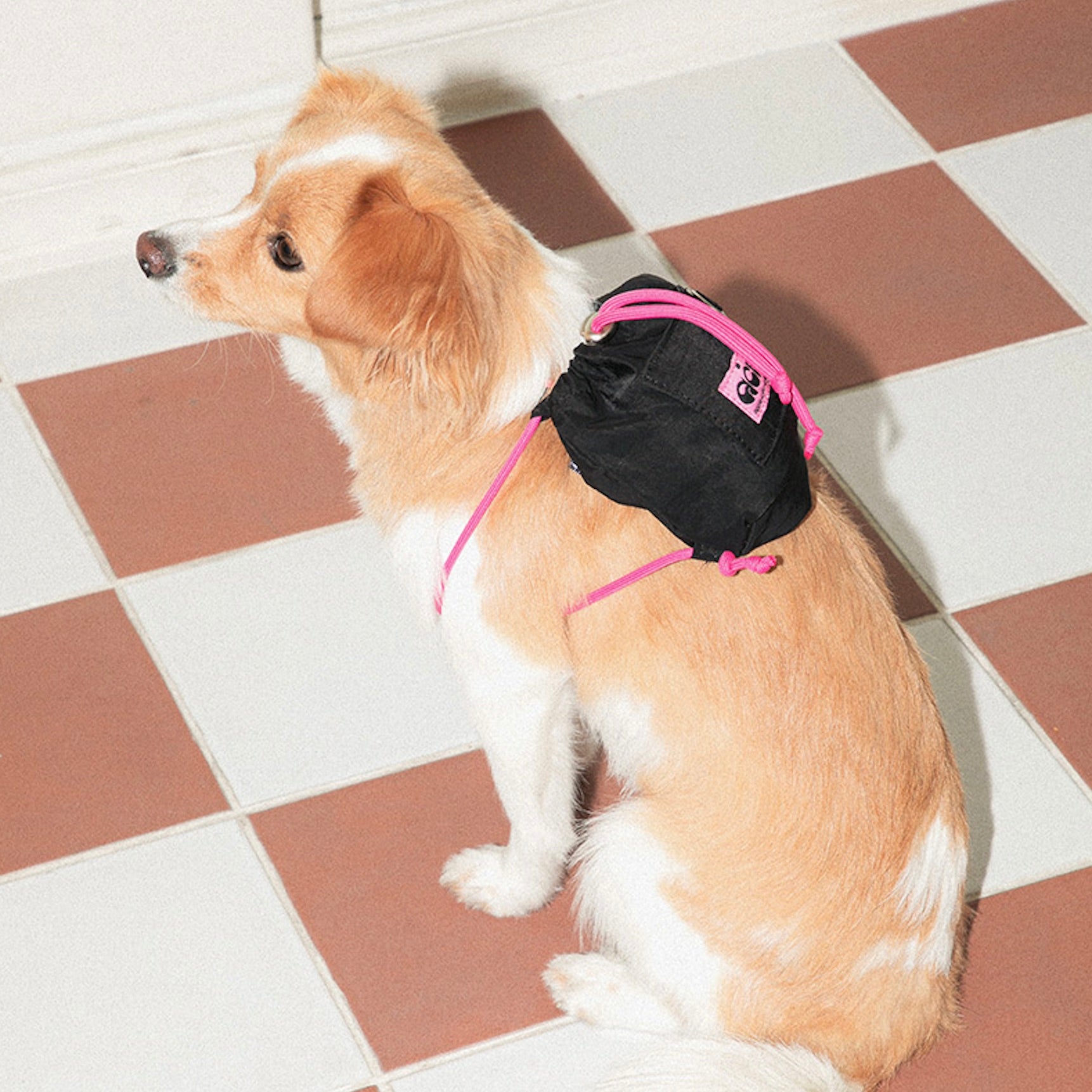 sky♡●犬服●ハンドメイド sky☆様専用 犬服ハンドメイド - メルカリ