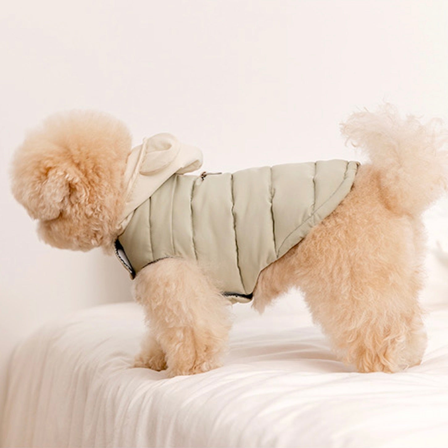 犬服^ ^ 海外犬服 高品質なインポートのドッグウェア通販 