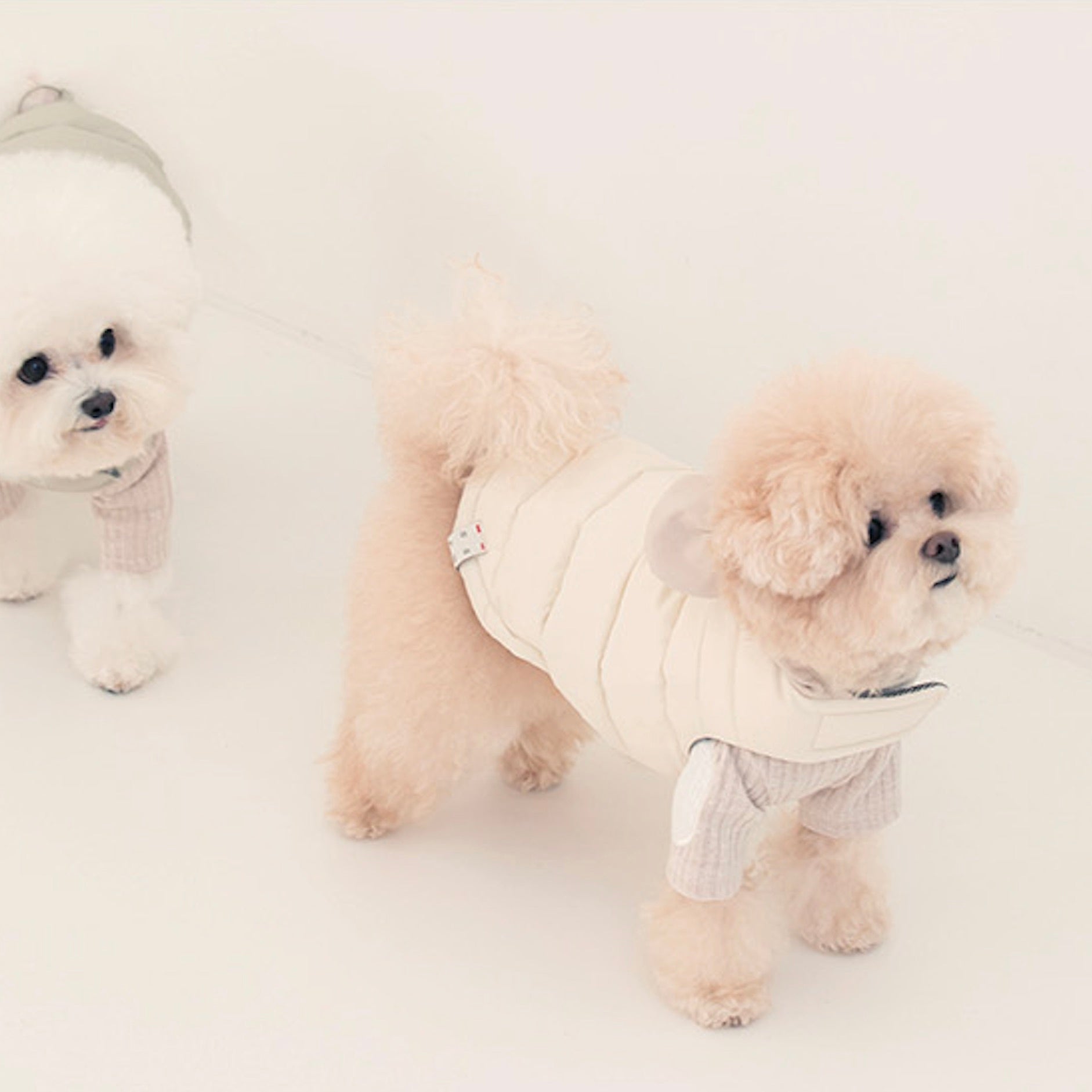 海外犬服 高品質なインポートのドッグウェア通販 