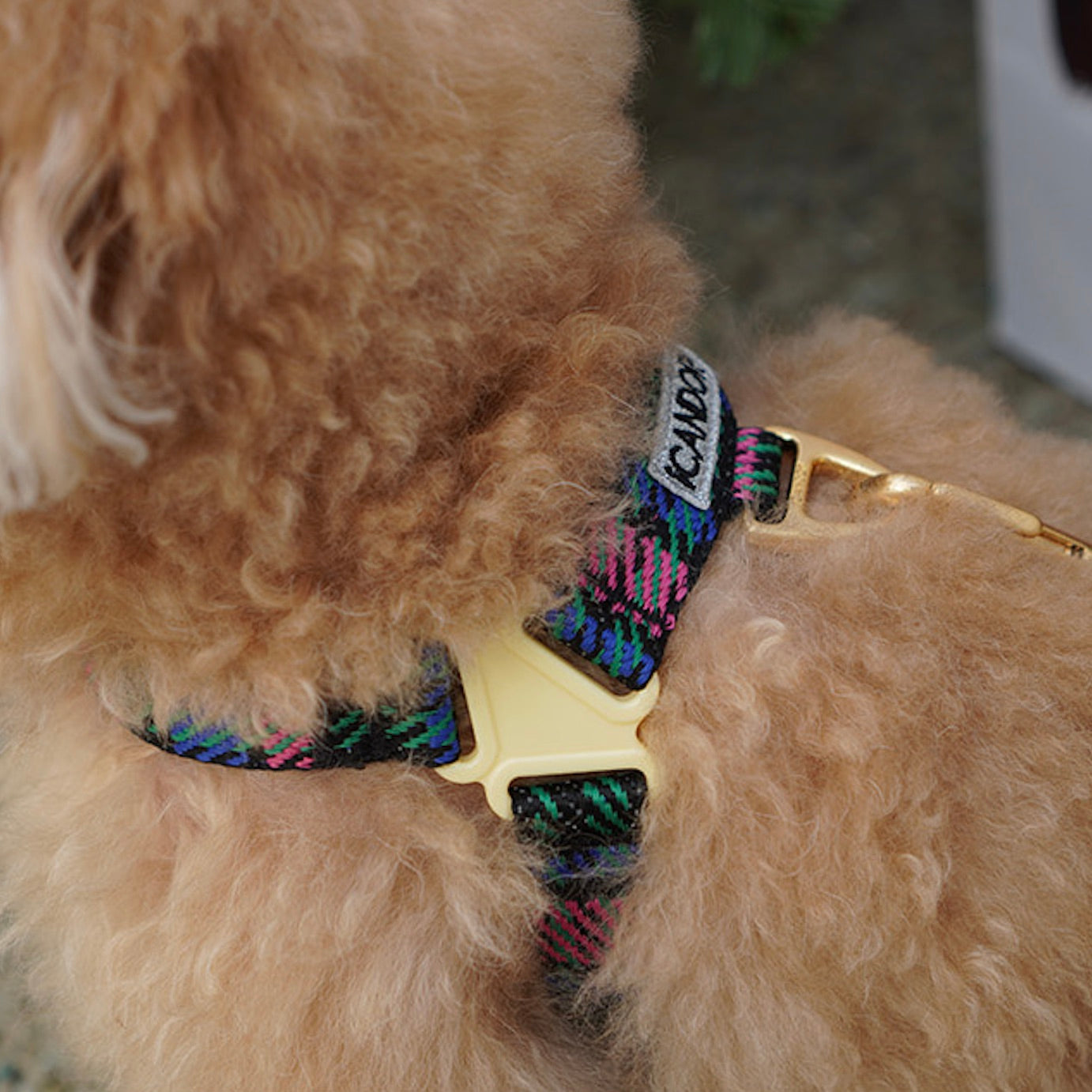 海外犬服 高品質なインポートのドッグウェア通販 