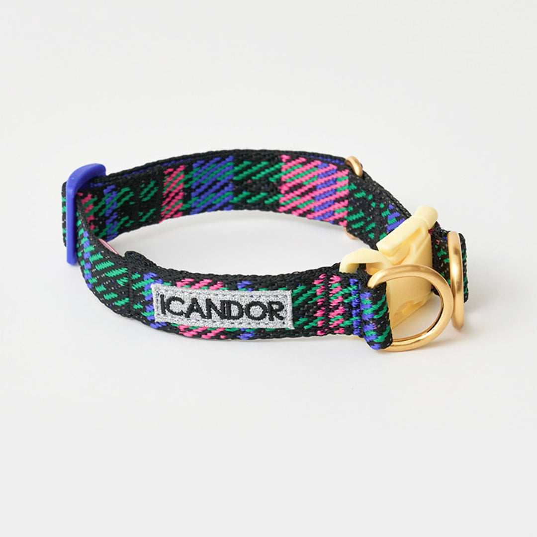 ※予約販売【iCANDOR】Gentle Collar Dual（URBAN CHECKS）L