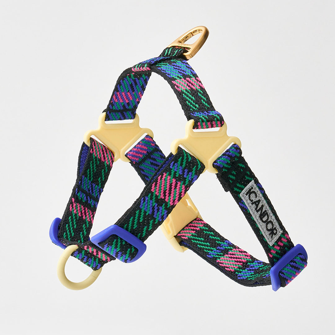 ※予約販売【iCANDOR】No-Pull Harness（URBAN CHECKS）